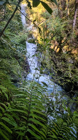 The waterfall viewed from the track