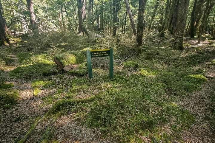 The junction between trails