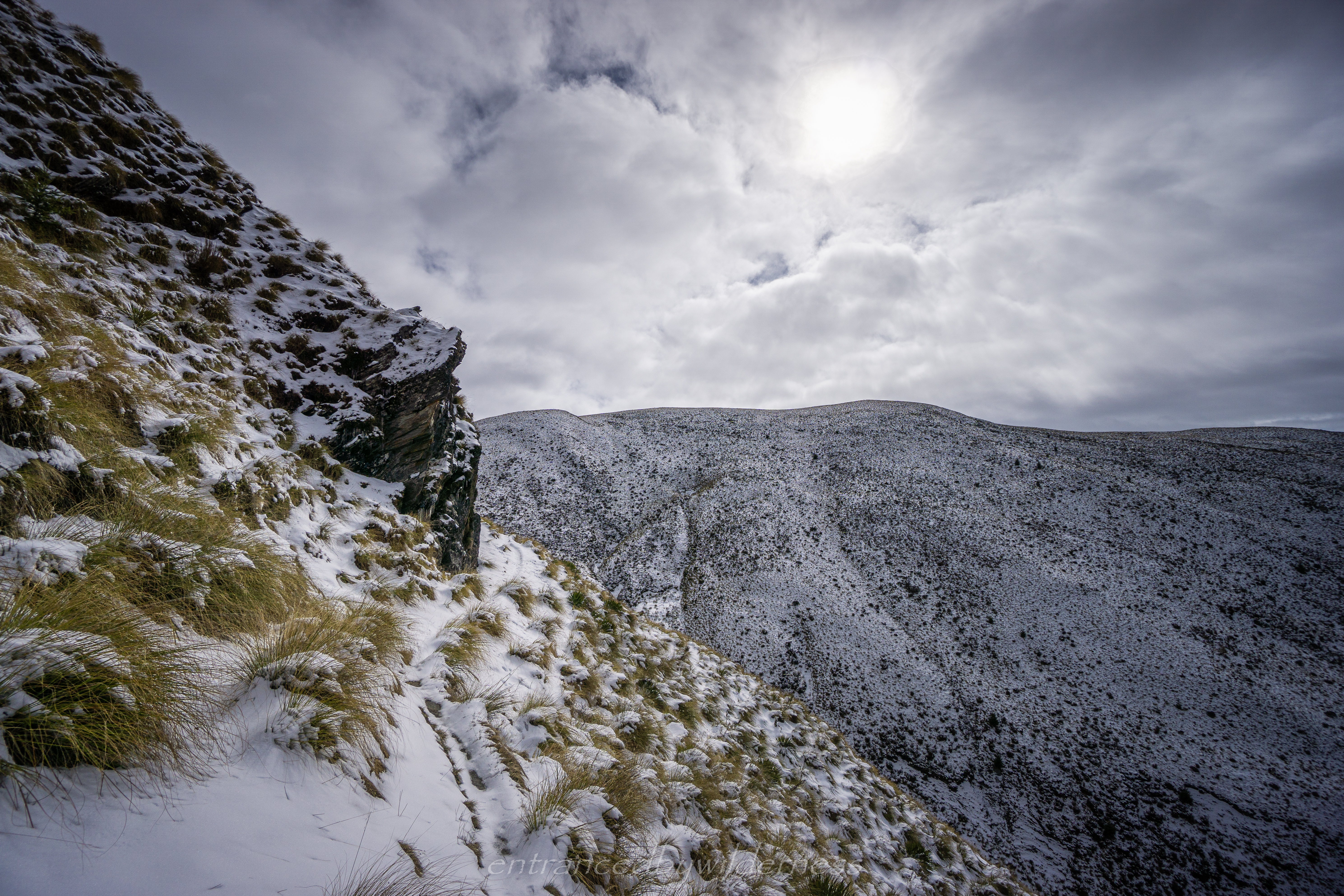 sidling the snowy tussock trail
