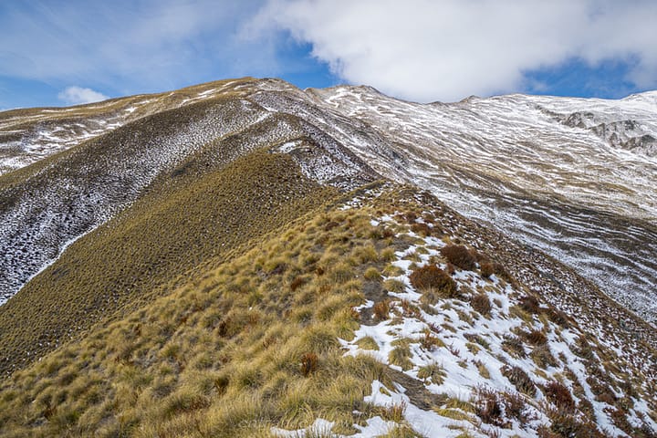 tussock slope with snow