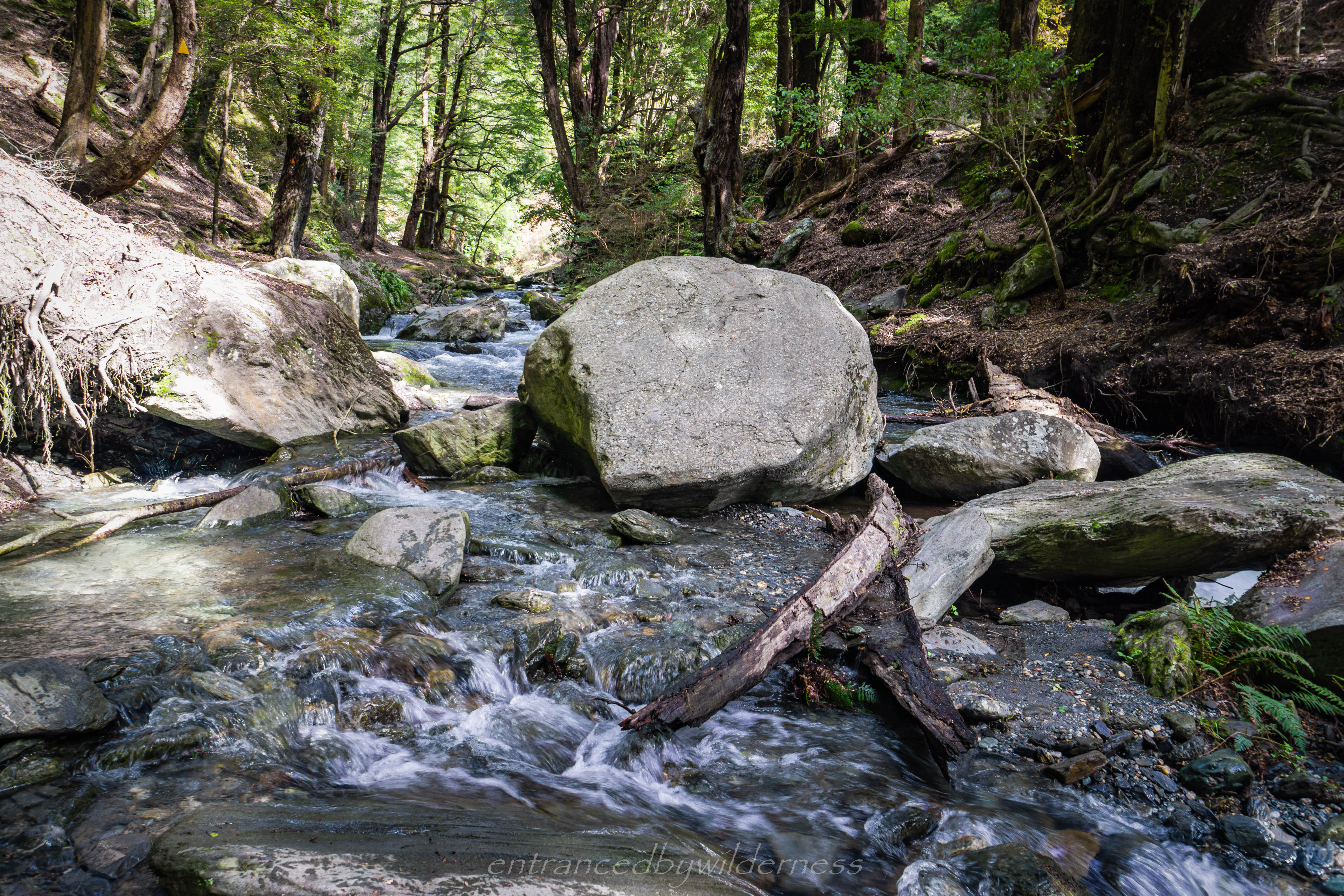 boulders in the stream