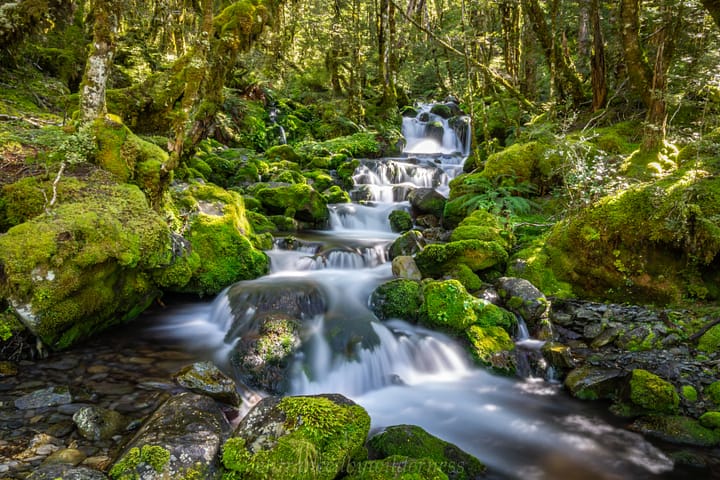 One of the most scenic little streams in New Zealand