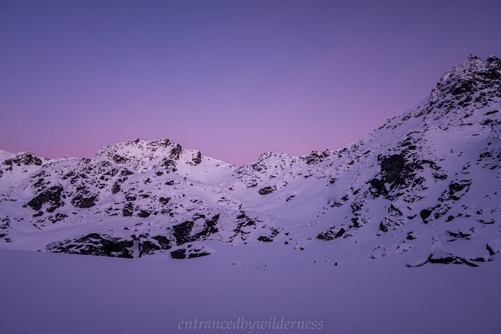 The mauve hues on snowy mornings is always a treat