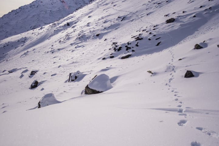 Looking back up the slope