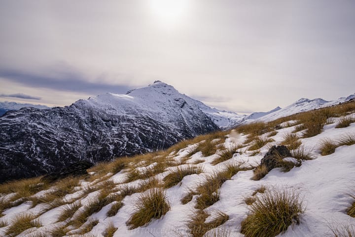 Tussock slopes in the snow