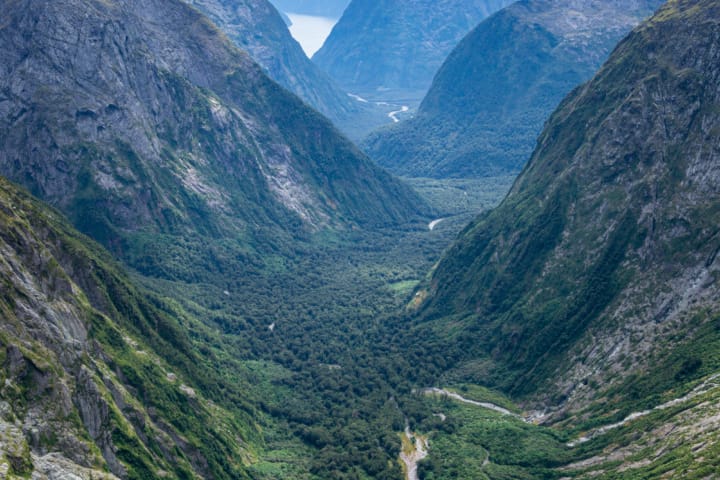 VIew from Gertude Saddle toward Milford Sound
