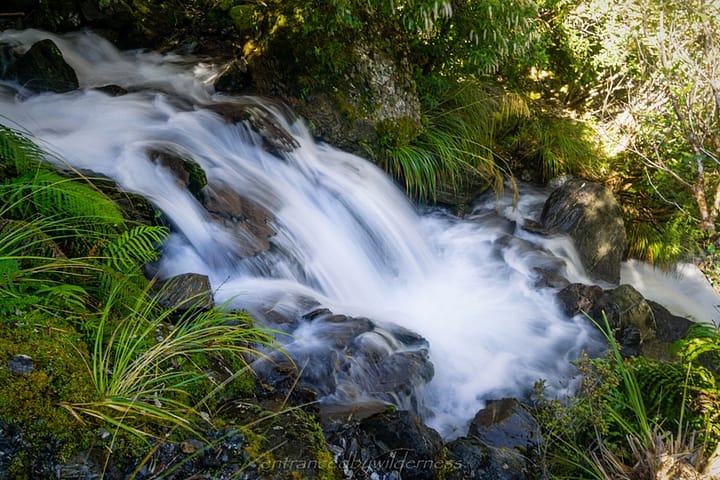 Nothing like beautiful water features in NZ forest