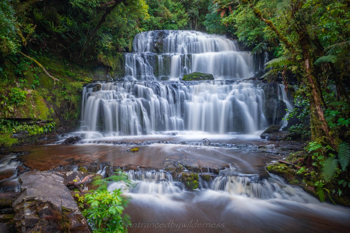 Is It Worth Seeing The Catlins? - New Zealand: Sightseeing